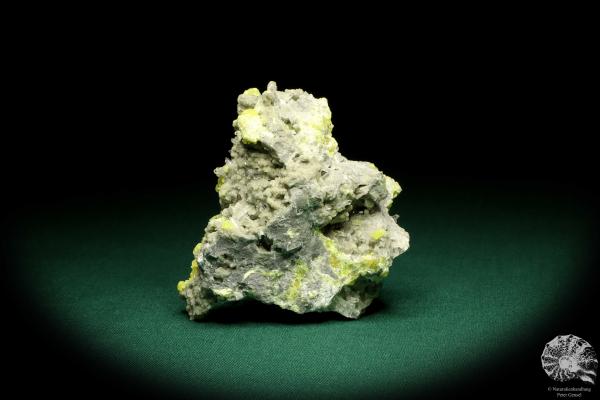 Schwefel XX und Coelestin XX (20149) ein Mineral aus Polen | Mineralien | Weltweit