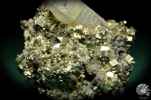 Quartz XX & Pyrite XX (20153) a mineral from Kazakhstan | Minerals | Global