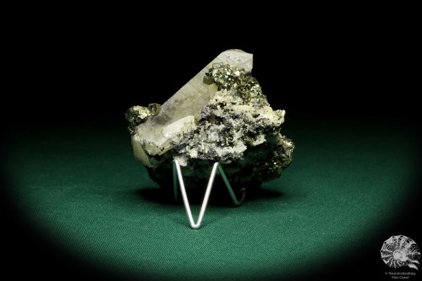 Quartz XX & Pyrite XX (20153) a mineral from Kazakhstan | Minerals | Global