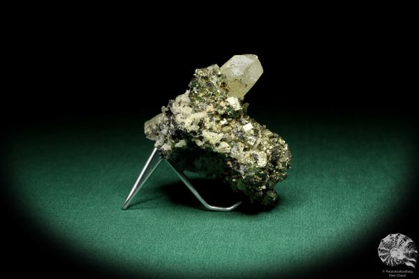 Quartz XX & Pyrite XX (20153) a mineral from Kazakhstan | Minerals | Global