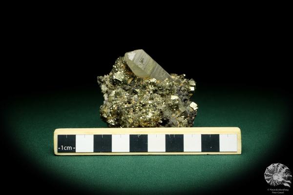 Quartz XX & Pyrite XX (20153) a mineral from Kazakhstan | Minerals | Global