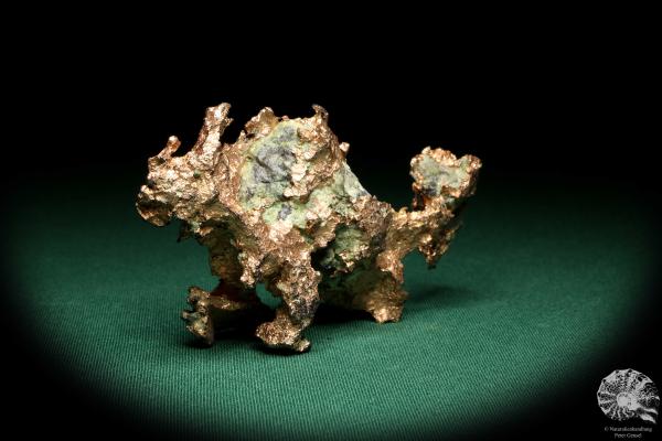 Gediegenes Kupfer (20156) ein Mineral aus USA | Mineralien | Weltweit