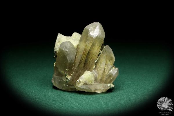 Quarz XX mit Fluorit XX & Pyrit XX (20159) ein Mineral aus Kasachstan | Mineralien | Weltweit