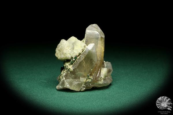 Quarz XX mit Fluorit XX & Pyrit XX (20159) ein Mineral aus Kasachstan | Mineralien | Weltweit