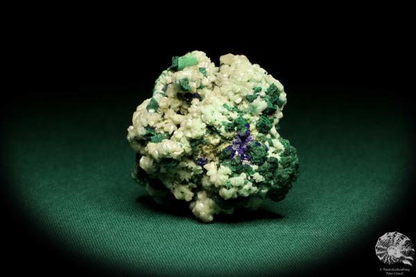 Cerussite XX with Malachite and Azurite XX (20165) a mineral from Namibia | Minerals | Global