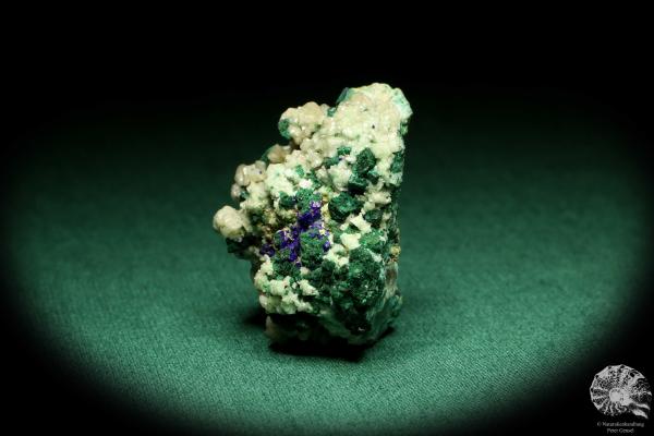 Cerussite XX with Malachite and Azurite XX (20165) a mineral from Namibia | Minerals | Global