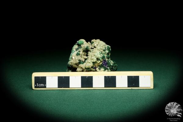 Cerussite XX with Malachite and Azurite XX (20165) a mineral from Namibia | Minerals | Global