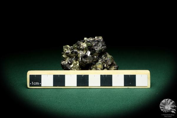 Pyrite XX & Sphalerite XX (20166) a mineral from Romania | Minerals | Global