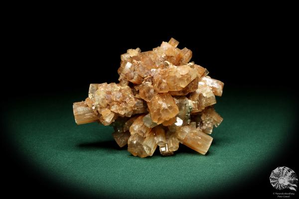 Aragonite XX (20168) a mineral from Morocco | Minerals | Global