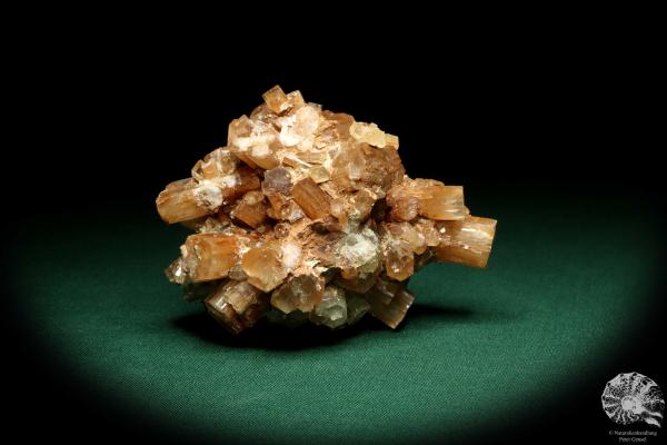 Aragonite XX (20168) a mineral from Morocco | Minerals | Global