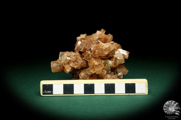 Aragonite XX (20168) a mineral from Morocco | Minerals | Global