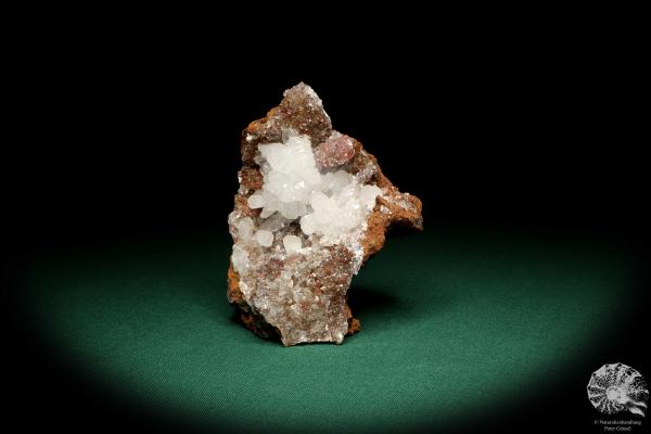 Hemimorphite XX (20173) a mineral from Mexico | Minerals | Global