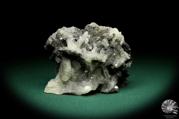 Anglesit XX (20175) ein Mineral aus Marokko | Mineralien | Weltweit