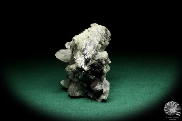 Anglesit XX (20175) ein Mineral aus Marokko | Mineralien | Weltweit