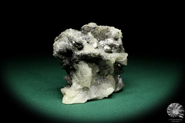 Anglesit XX (20175) ein Mineral aus Marokko | Mineralien | Weltweit