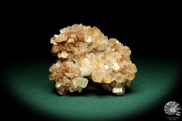 Aragonite XX (20176) a mineral from Morocco | Minerals | Global