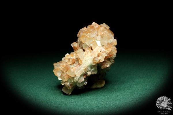 Aragonite XX (20176) a mineral from Morocco | Minerals | Global