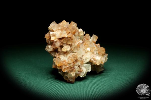 Aragonite XX (20176) a mineral from Morocco | Minerals | Global