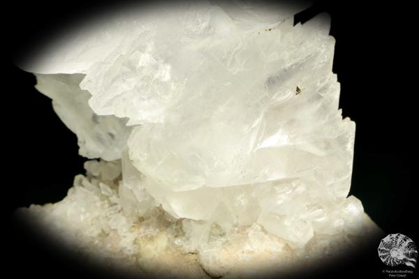 Gypsum XX (20181) a mineral from Mexico | Minerals | Global