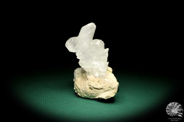 Gypsum XX (20181) a mineral from Mexico | Minerals | Global