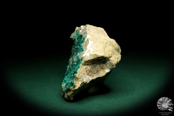 Dioptase XX (20182) a mineral from Kazakhstan | Minerals | Global