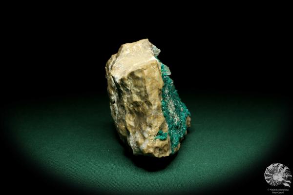 Dioptase XX (20182) a mineral from Kazakhstan | Minerals | Global