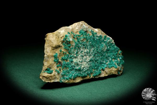 Dioptase XX (20182) a mineral from Kazakhstan | Minerals | Global