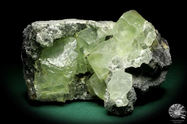 Fluorit XX (20183) ein Mineral aus China | Mineralien | Weltweit