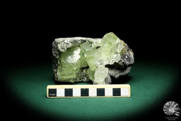 Fluorit XX (20183) ein Mineral aus China | Mineralien | Weltweit