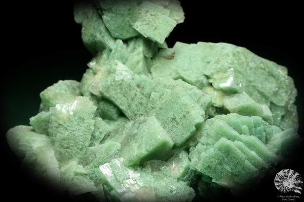 Heulandit XX (20187) ein Mineral aus Indien | Mineralien | Weltweit