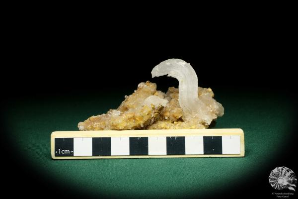 Gypsum XX (20189) a mineral from Morocco | Minerals | Global