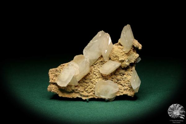 Calcite XX (20191) a mineral from Germany | Minerals | From Germany