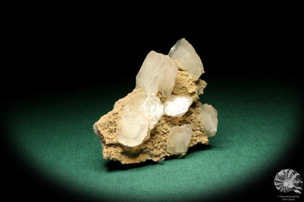 Calcite XX (20191) a mineral from Germany | Minerals | From Germany