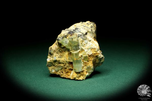 Beryll XX (20195) ein Mineral aus Russland | Mineralien | Weltweit