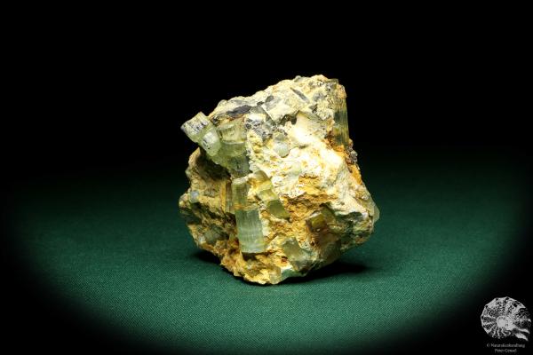 Beryl XX (20195) a mineral from Russia | Minerals | Global