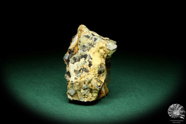 Beryll XX (20195) ein Mineral aus Russland | Mineralien | Weltweit