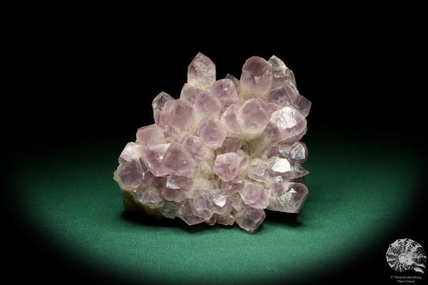 Amethyst XX (20199) ein Mineral aus Afrika | Mineralien | Weltweit