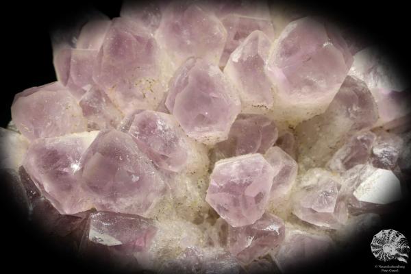 Amethyst XX (20199) ein Mineral aus Afrika | Mineralien | Weltweit