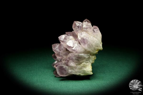 Amethyst XX (20199) ein Mineral aus Afrika | Mineralien | Weltweit