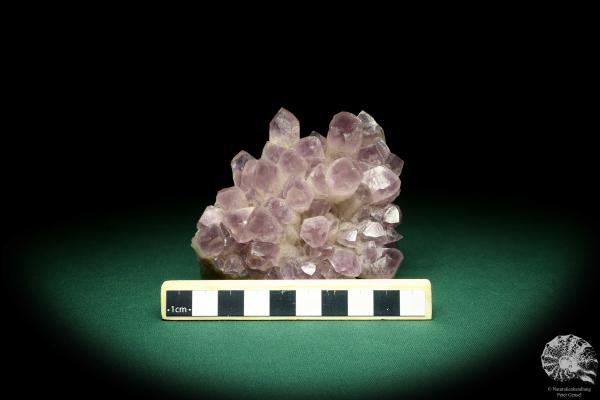 Amethyst XX (20199) ein Mineral aus Afrika | Mineralien | Weltweit