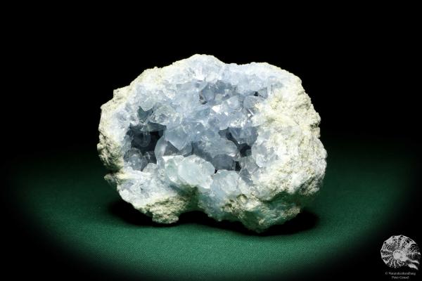 Celestine XX (20200) a mineral from Madagascar | Minerals | Global