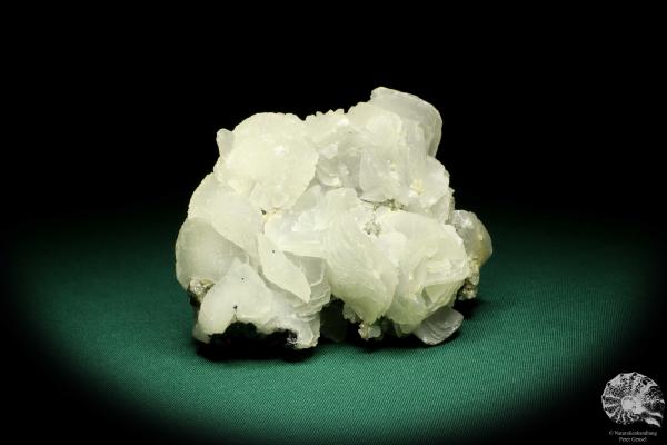 Calcite XX with gypsum XX (20201) a mineral from Romania | Minerals | Global