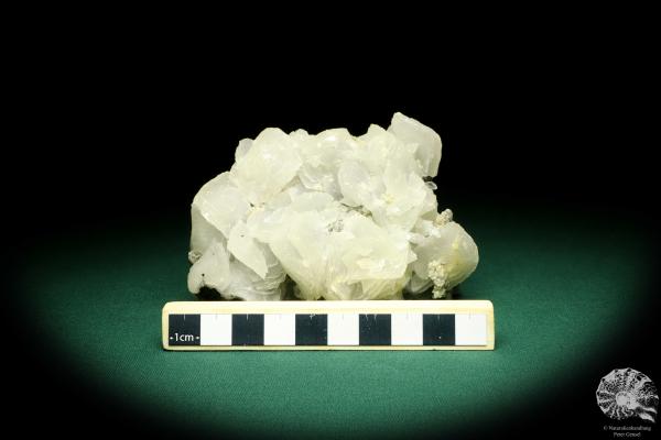 Calcite XX with gypsum XX (20201) a mineral from Romania | Minerals | Global