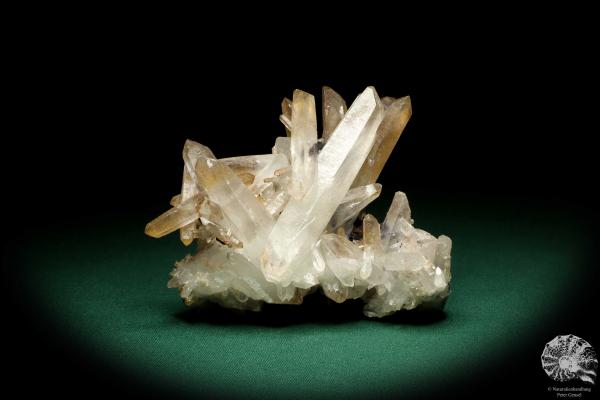 Quarz XX (20203) ein Mineral aus China | Mineralien | Weltweit