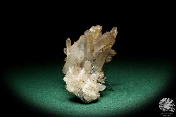 Quarz XX (20203) ein Mineral aus China | Mineralien | Weltweit