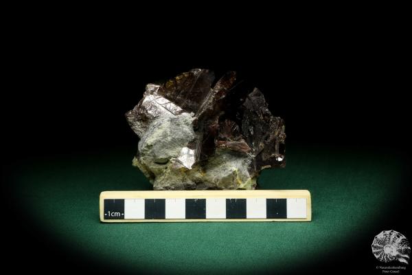 Axinite XX (20208) a mineral from Russia | Minerals | Global