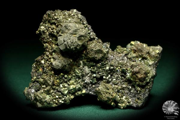 Pyrit XX auf Sphalerit XX (20213) ein Mineral aus Rumänien | Mineralien | Weltweit