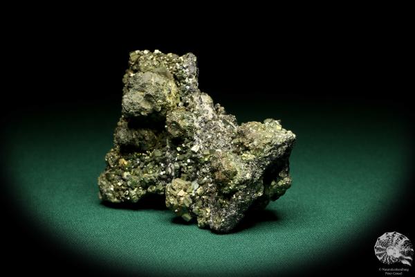 Pyrite XX on Sphalerite XX (20213) a mineral from Romania | Minerals | Global