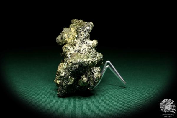 Pyrit XX auf Sphalerit XX (20213) ein Mineral aus Rumänien | Mineralien | Weltweit