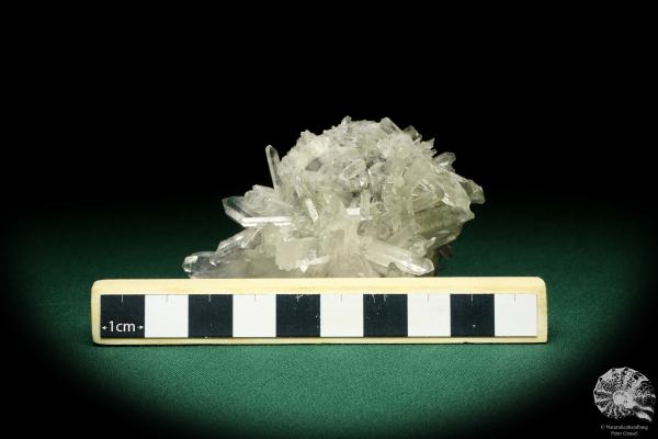 Rock Crystal XX (20216) a mineral from Kazakhstan | Minerals | Global